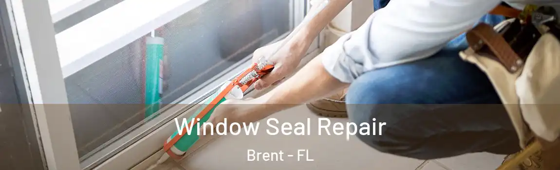 Window Seal Repair Brent - FL